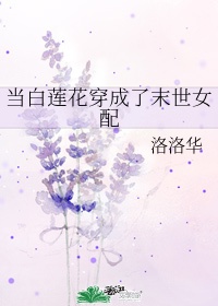 同桌他有治愈术