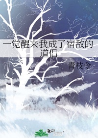 《一觉醒来我成了宿敌的道侣》作者:饮星辰