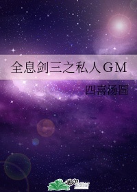 全息剑三之私人gm车好看吗