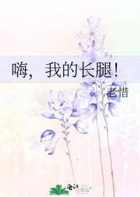 穿成主角的背景板师尊