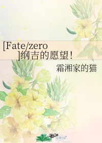 [Fate/zero]纲吉的愿望！